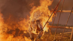 extant_GameOfThrones_7x04-TheSpoilsOfWar_4329