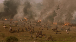 extant_GameOfThrones_7x04-TheSpoilsOfWar_4660