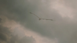 extant_GameOfThrones_7x04-TheSpoilsOfWar_4849
