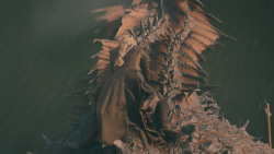 extant_GameOfThrones_7x04-TheSpoilsOfWar_4885