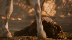 extant_GameOfThrones_7x04-TheSpoilsOfWar_4986