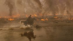 extant_GameOfThrones_7x04-TheSpoilsOfWar_4995