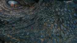 extant_GameOfThrones_7x05-Eastwatch_1324