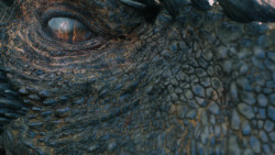 extant_GameOfThrones_7x05-Eastwatch_1325