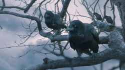 extant_GameOfThrones_7x05-Eastwatch_1663