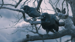 extant_GameOfThrones_7x05-Eastwatch_1666