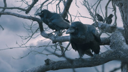 extant_GameOfThrones_7x05-Eastwatch_1667
