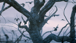 extant_GameOfThrones_7x05-Eastwatch_1669
