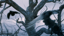 extant_GameOfThrones_7x05-Eastwatch_1671