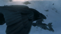 extant_GameOfThrones_7x05-Eastwatch_1691