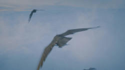 extant_GameOfThrones_7x05-Eastwatch_1694
