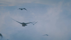 extant_GameOfThrones_7x05-Eastwatch_1695