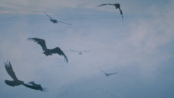 extant_GameOfThrones_7x05-Eastwatch_1696