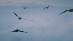 extant_GameOfThrones_7x05-Eastwatch_1697