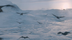 extant_GameOfThrones_7x05-Eastwatch_1742