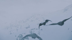 extant_GameOfThrones_7x05-Eastwatch_1745