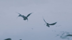 extant_GameOfThrones_7x05-Eastwatch_1748