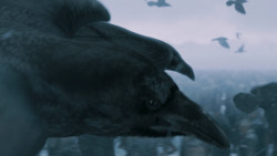 extant_GameOfThrones_7x05-Eastwatch_1776