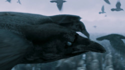 extant_GameOfThrones_7x05-Eastwatch_1778