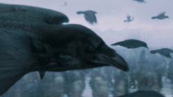 extant_GameOfThrones_7x05-Eastwatch_1781