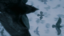 extant_GameOfThrones_7x05-Eastwatch_1782