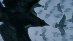 extant_GameOfThrones_7x05-Eastwatch_1783