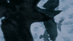 extant_GameOfThrones_7x05-Eastwatch_1786