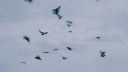 extant_GameOfThrones_7x05-Eastwatch_1799