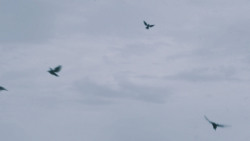 extant_GameOfThrones_7x05-Eastwatch_1800