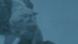 extant_GameOfThrones_7x06-BeyondTheWall_2446