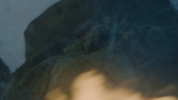 extant_GameOfThrones_7x06-BeyondTheWall_2544