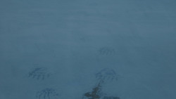 extant_GameOfThrones_7x06-BeyondTheWall_2734