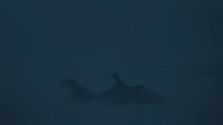 extant_GameOfThrones_7x06-BeyondTheWall_3761