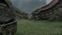 extant_GameOfThrones_7x06-BeyondTheWall_4519