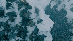 extant_GameOfThrones_7x06-BeyondTheWall_5231