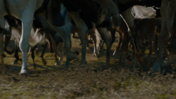 extant_GameOfThrones_7x07-TheDragonAndTheWolf_0244