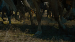 extant_GameOfThrones_7x07-TheDragonAndTheWolf_0245