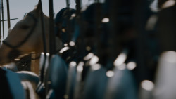 extant_GameOfThrones_7x07-TheDragonAndTheWolf_0257