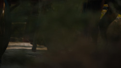 extant_GameOfThrones_7x07-TheDragonAndTheWolf_0719