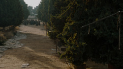 extant_GameOfThrones_7x07-TheDragonAndTheWolf_0818