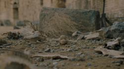 extant_GameOfThrones_7x07-TheDragonAndTheWolf_3723