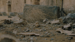extant_GameOfThrones_7x07-TheDragonAndTheWolf_3724