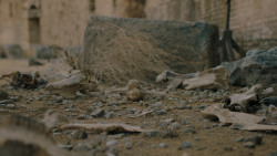 extant_GameOfThrones_7x07-TheDragonAndTheWolf_3725