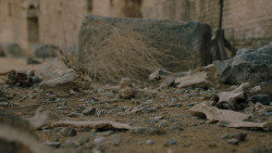 extant_GameOfThrones_7x07-TheDragonAndTheWolf_3727