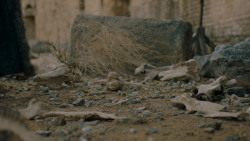 extant_GameOfThrones_7x07-TheDragonAndTheWolf_3728