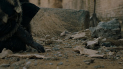 extant_GameOfThrones_7x07-TheDragonAndTheWolf_3736