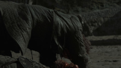 extant_GameOfThrones_7x07-TheDragonAndTheWolf_5528