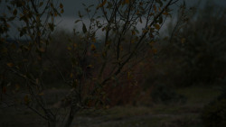 extant_GameOfThrones_7x07-TheDragonAndTheWolf_6898