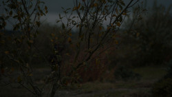 extant_GameOfThrones_7x07-TheDragonAndTheWolf_6899