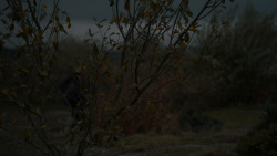 extant_GameOfThrones_7x07-TheDragonAndTheWolf_6900